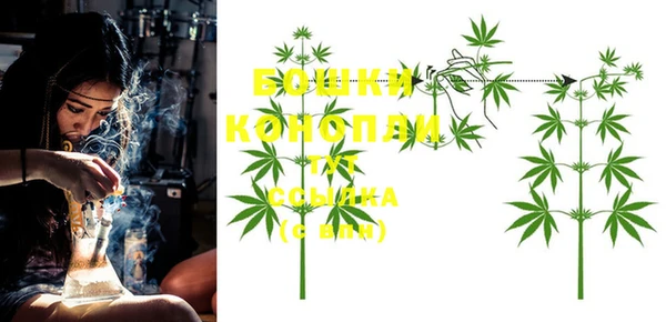 ECSTASY Инсар