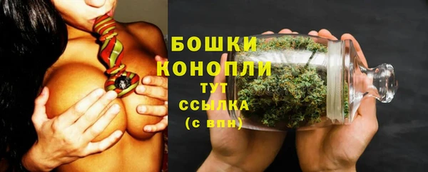 PSILOCYBIN Каменногорск