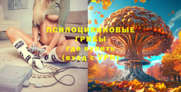 гидропоника Каменка