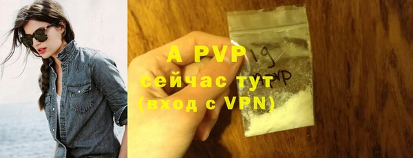 ECSTASY Инсар