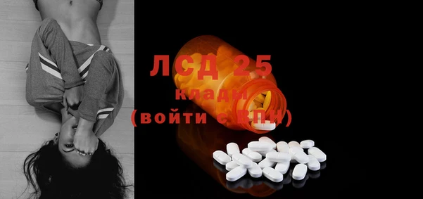 СК Инта