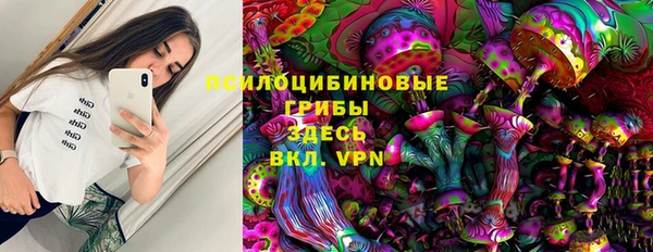 гидропоника Каменка