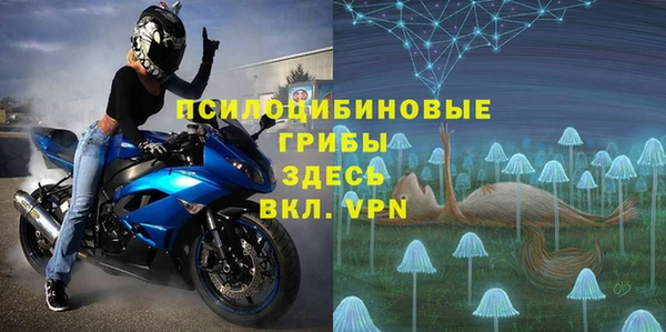 ECSTASY Инсар