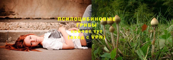 гидропоника Каменка