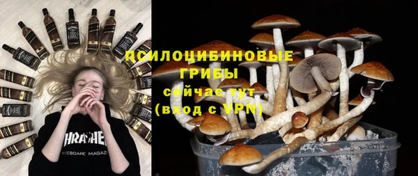 PSILOCYBIN Каменногорск
