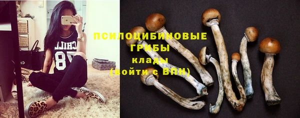 гидропоника Каменка